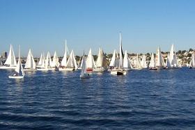 Duck Dodge on Lake Union